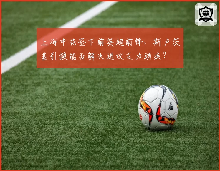 上海申花签下前英超前锋，斯卢茨基引援能否解决进攻乏力顽疾？