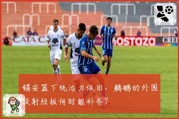 锡安篮下统治力依旧，鹈鹕的外围投射短板何时能补齐？