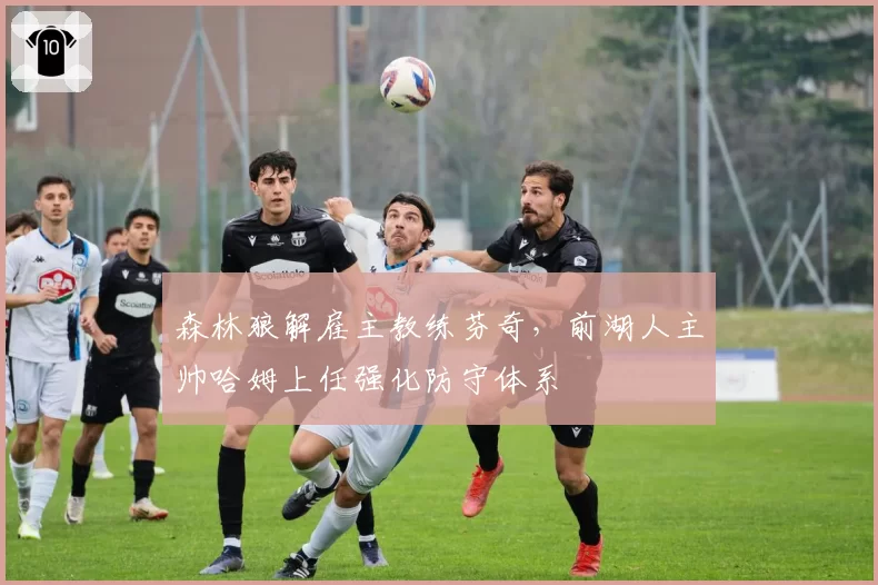 森林狼解雇主教练芬奇，前湖人主帅哈姆上任强化防守体系