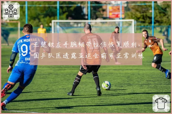 王楚钦左手腕韧带拉伤恢复顺利，国乒队医透露亚运会前可正常训练