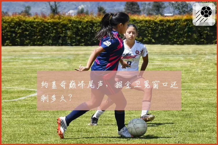 约基奇巅峰尾声，掘金卫冕窗口还剩多久？