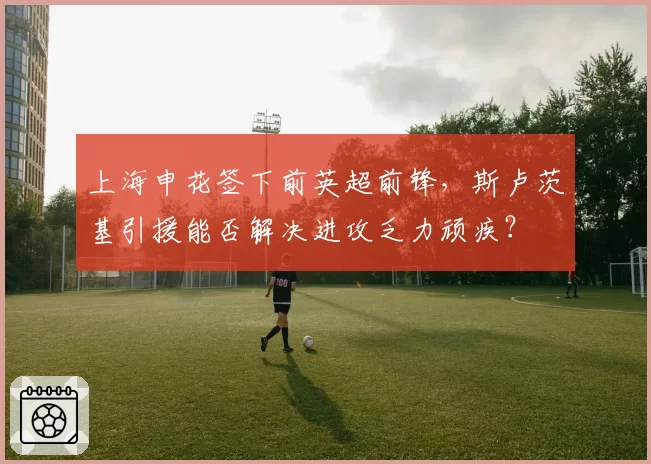 上海申花签下前英超前锋，斯卢茨基引援能否解决进攻乏力顽疾？